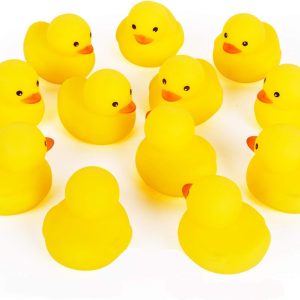 best bath toy duck